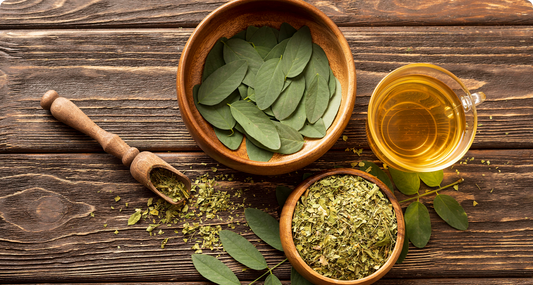 How to Clean Your Lungs After Smoking? Proven Detox Methods for Faster Relief